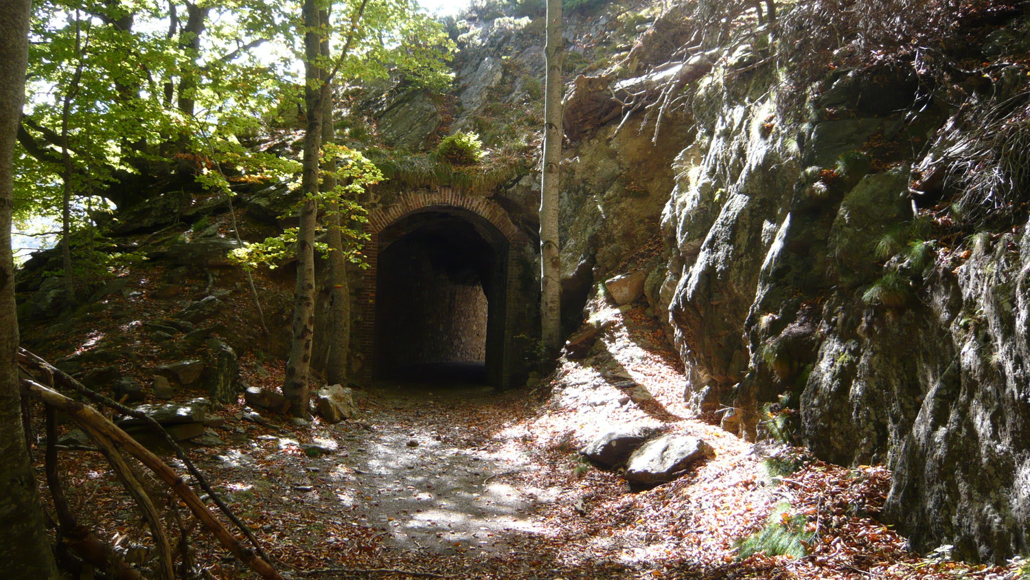 Autre tunnel sur la voie du "fer"