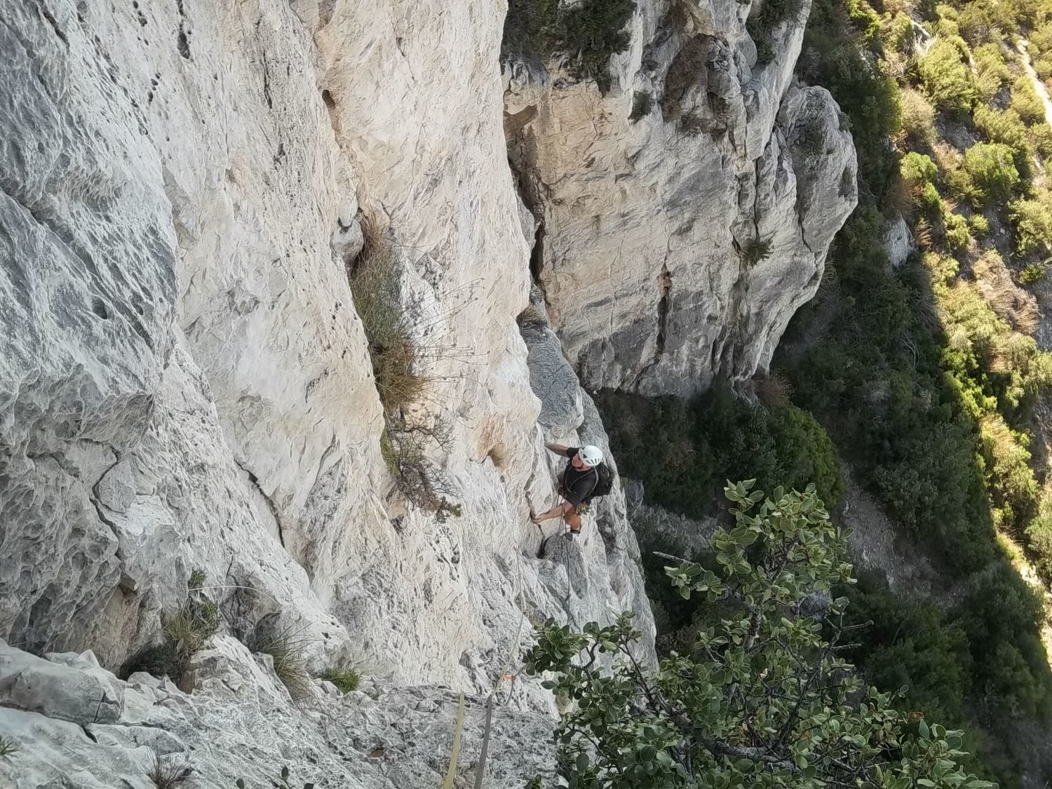 dans L2 de civa