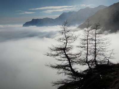 Balcon sur la brume Balcon sur la brume