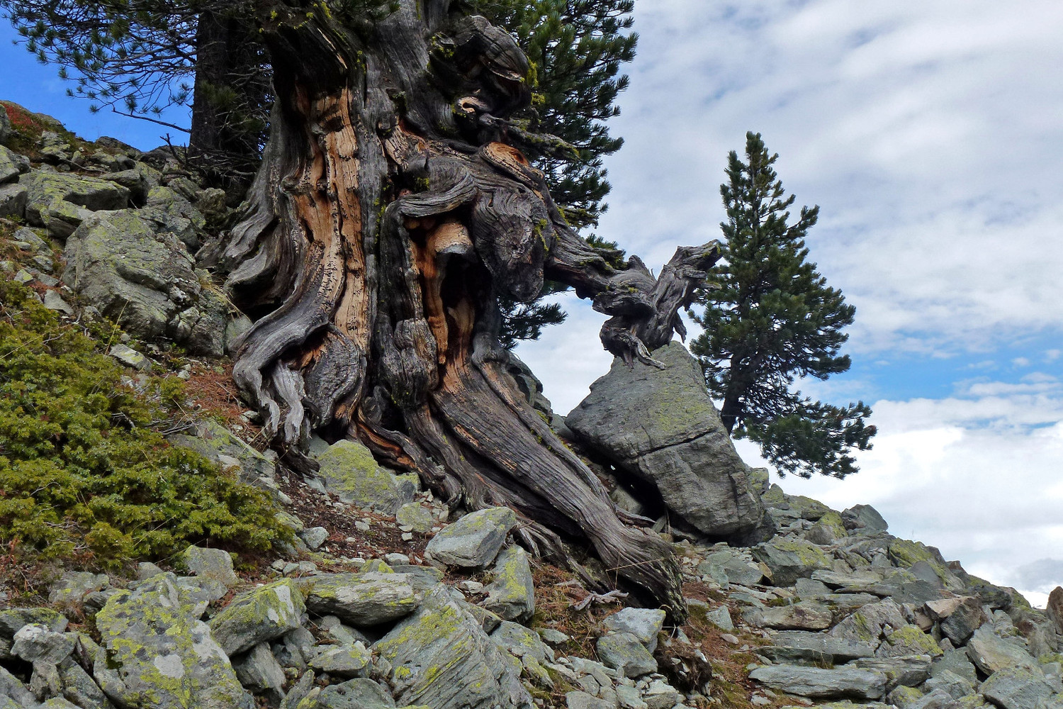 Tour de Bonvin: 2444m.