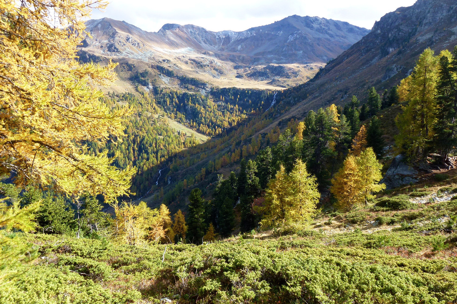 Tour de Bonvin: 2444m.