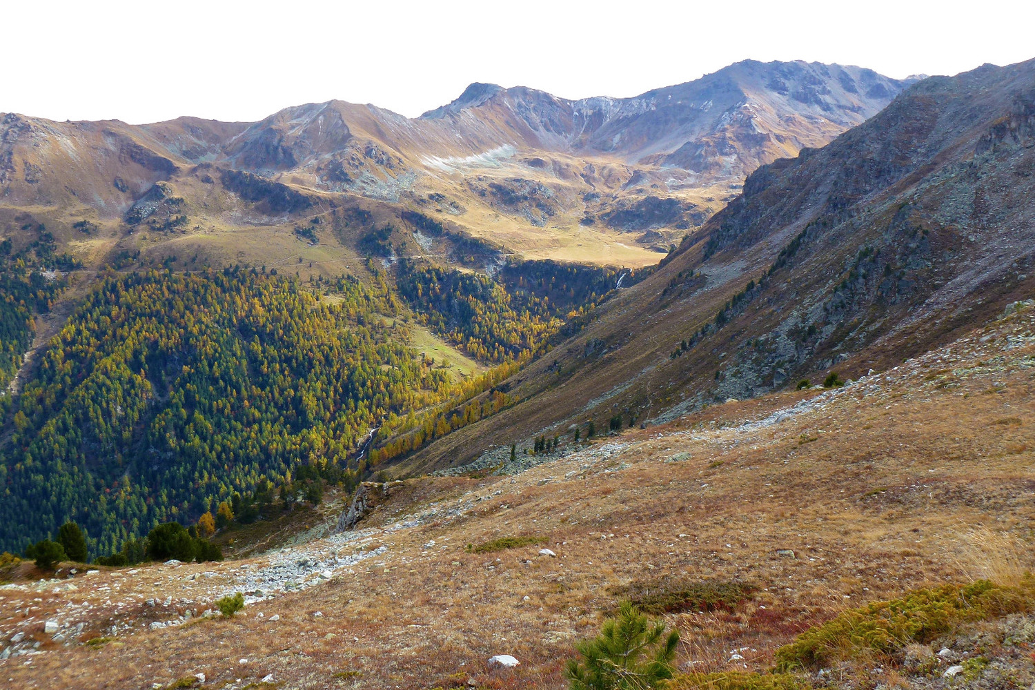 Tour de Bonvin: 2444m.