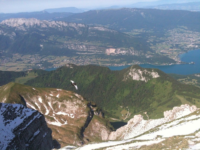 l'envol du lago