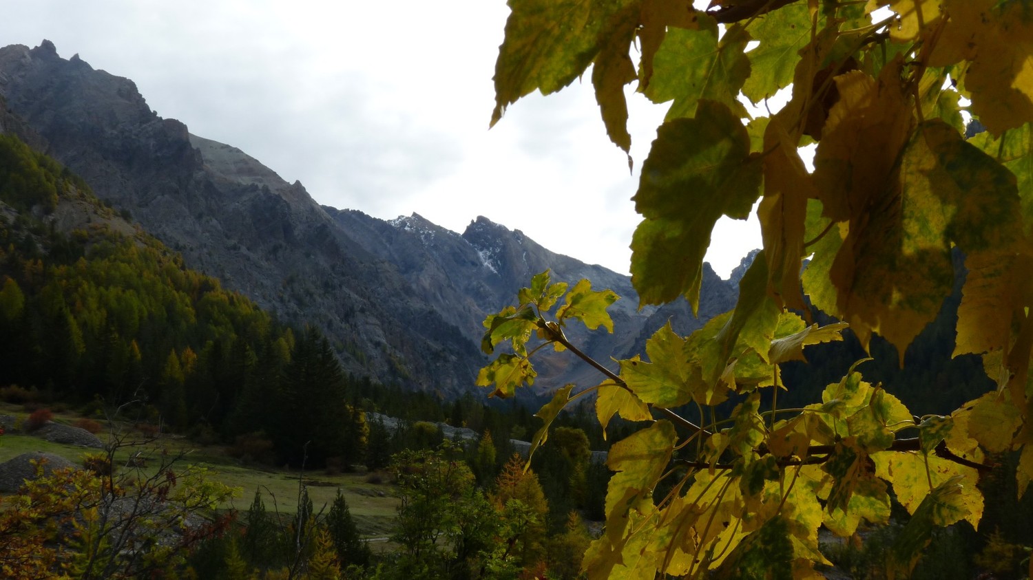Automne dans le val d'Escreins
