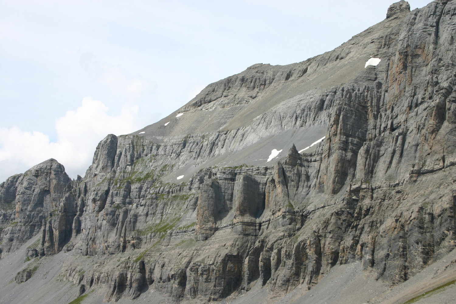 cornes du chamoix