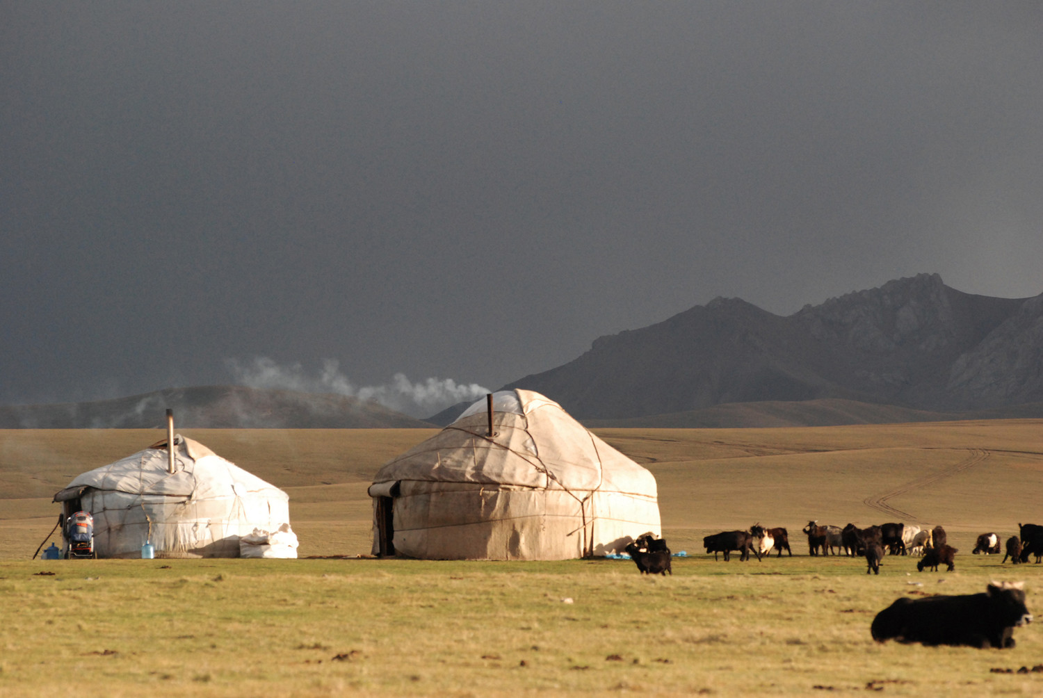 Haut plateau lac song Kul, kirghizie
