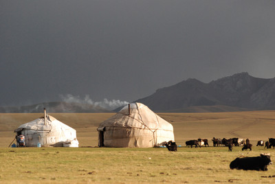 Haut plateau lac song Kul, kirghizie Haut plateau lac song Kul, kirghizie