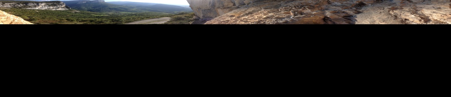 Panoramix