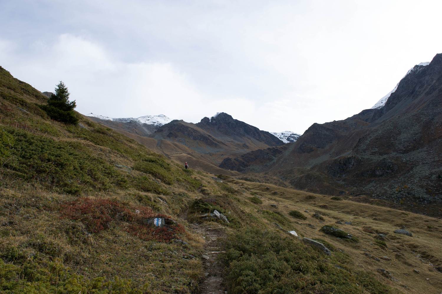 De Barneuza, montée vers le col des Arpettes