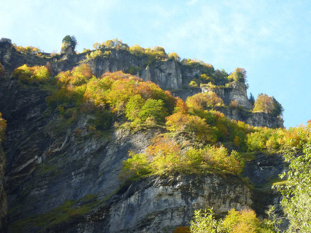 Couleurs d'automne