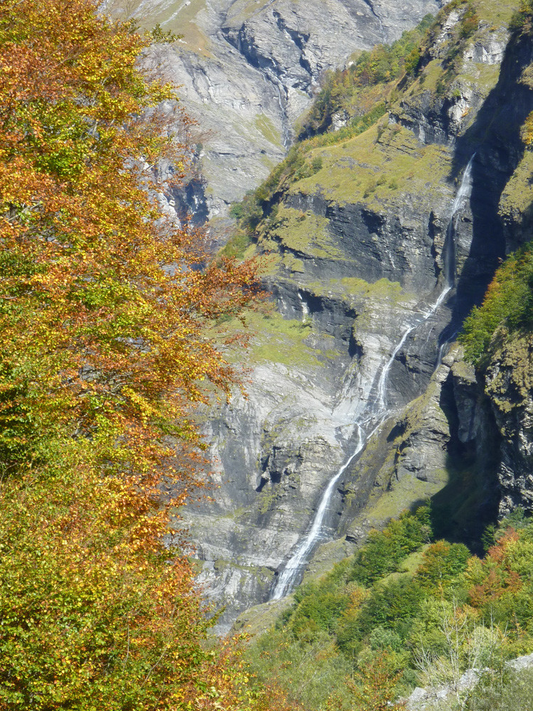Cascade au loin