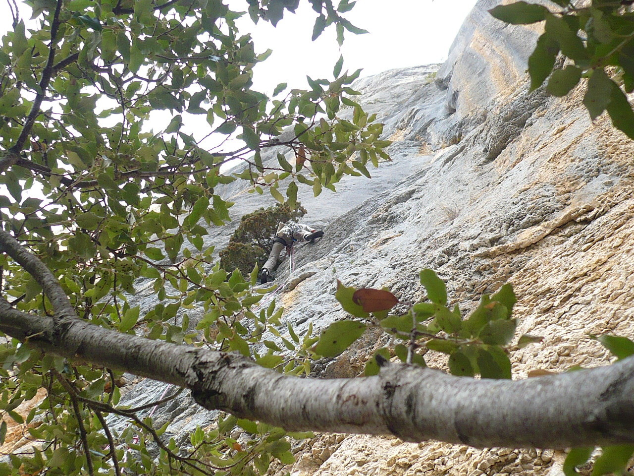 L2 vue à travers l'arbre du R1