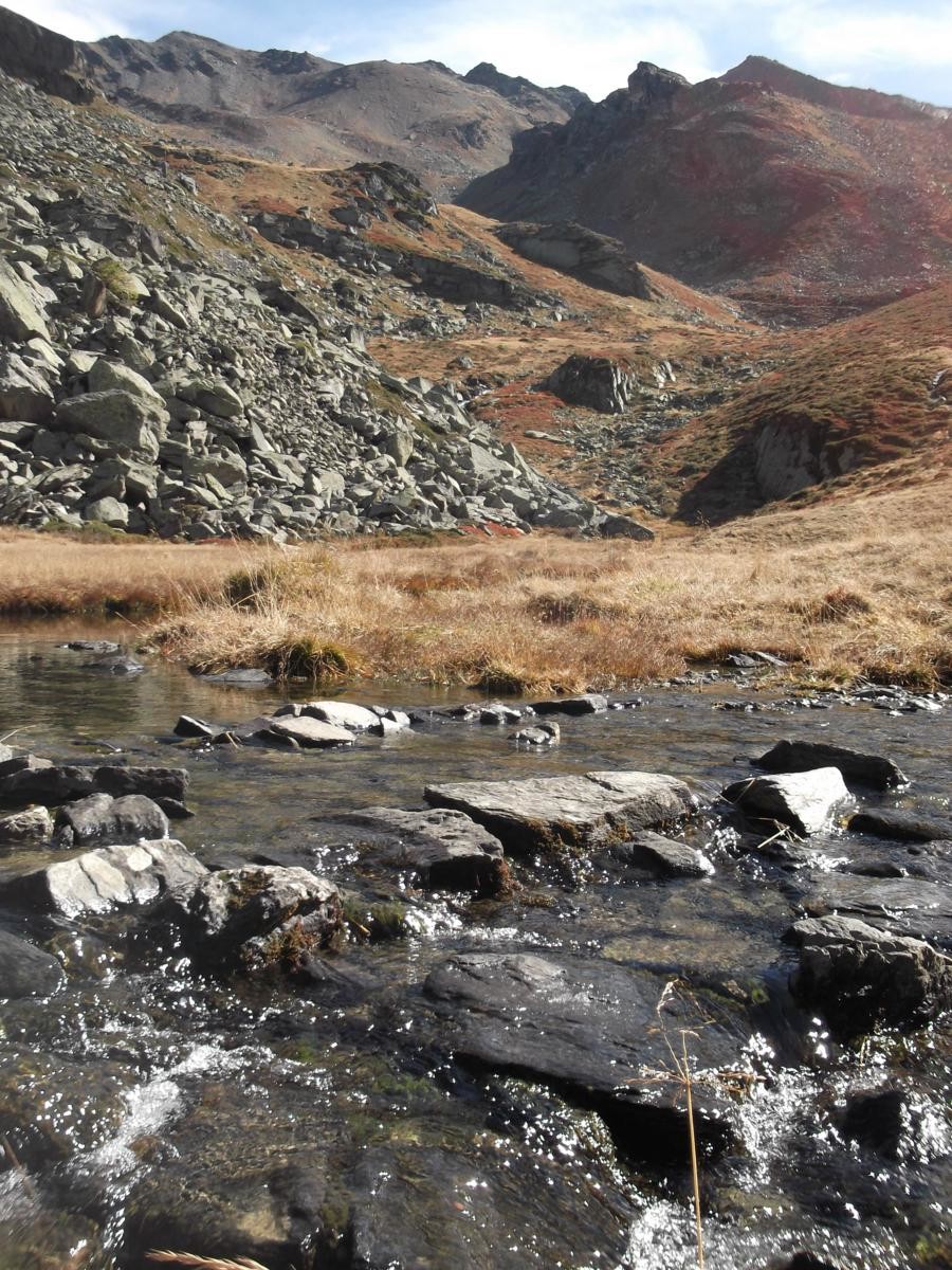 Dans le vallon menant au col des Roches