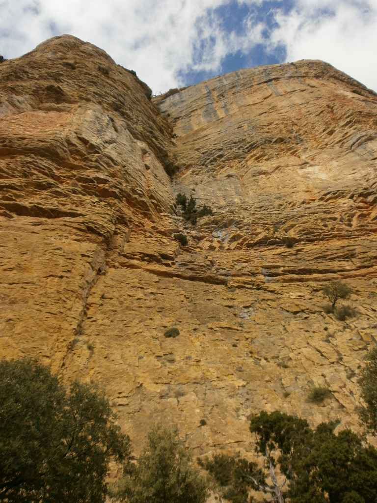 dièdre farreny