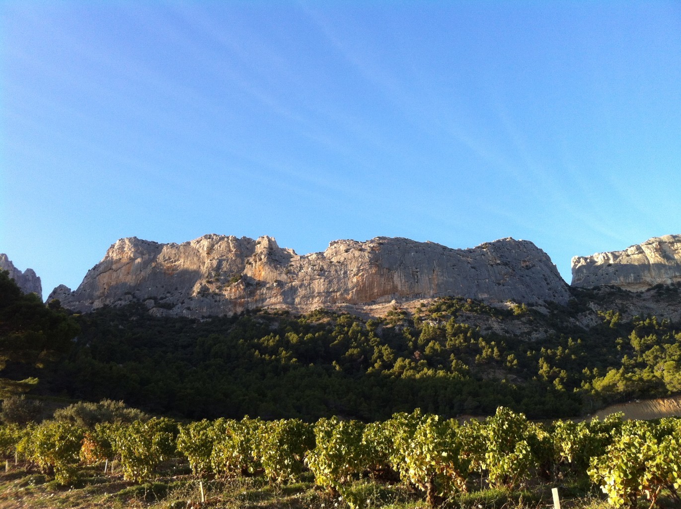 Dentelles de Montmirailo