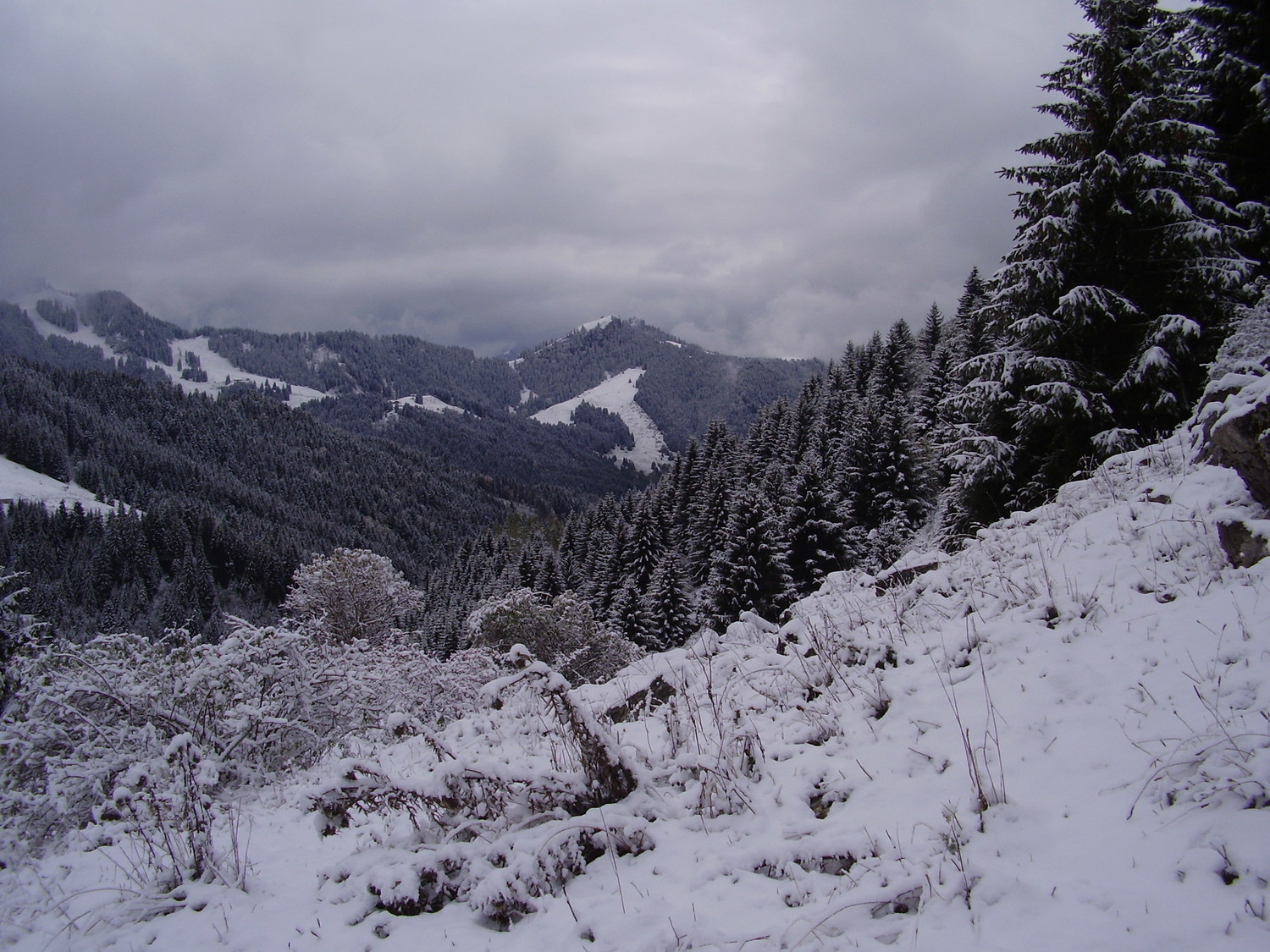 Le mont Baron