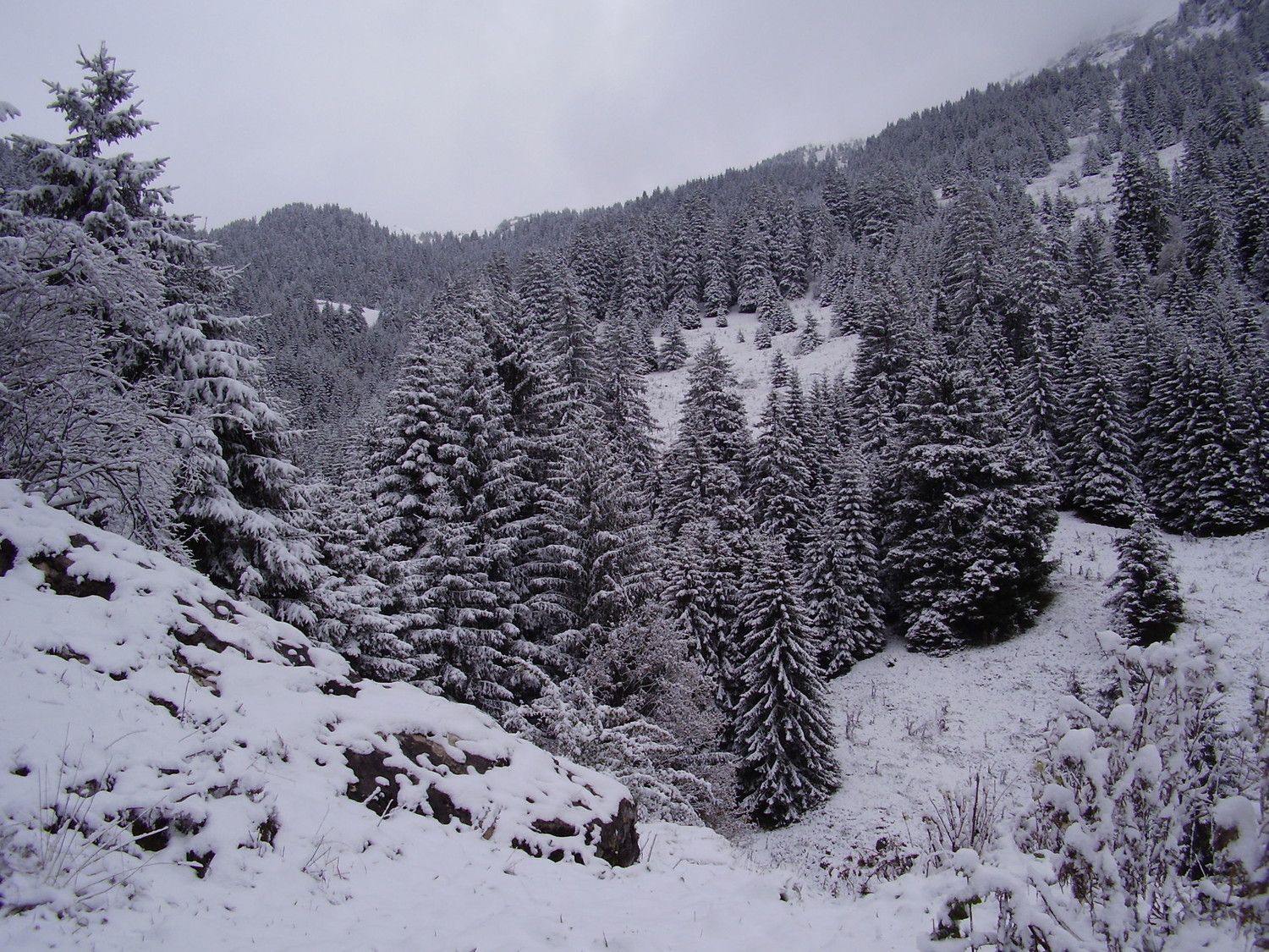 C'est trop beau !