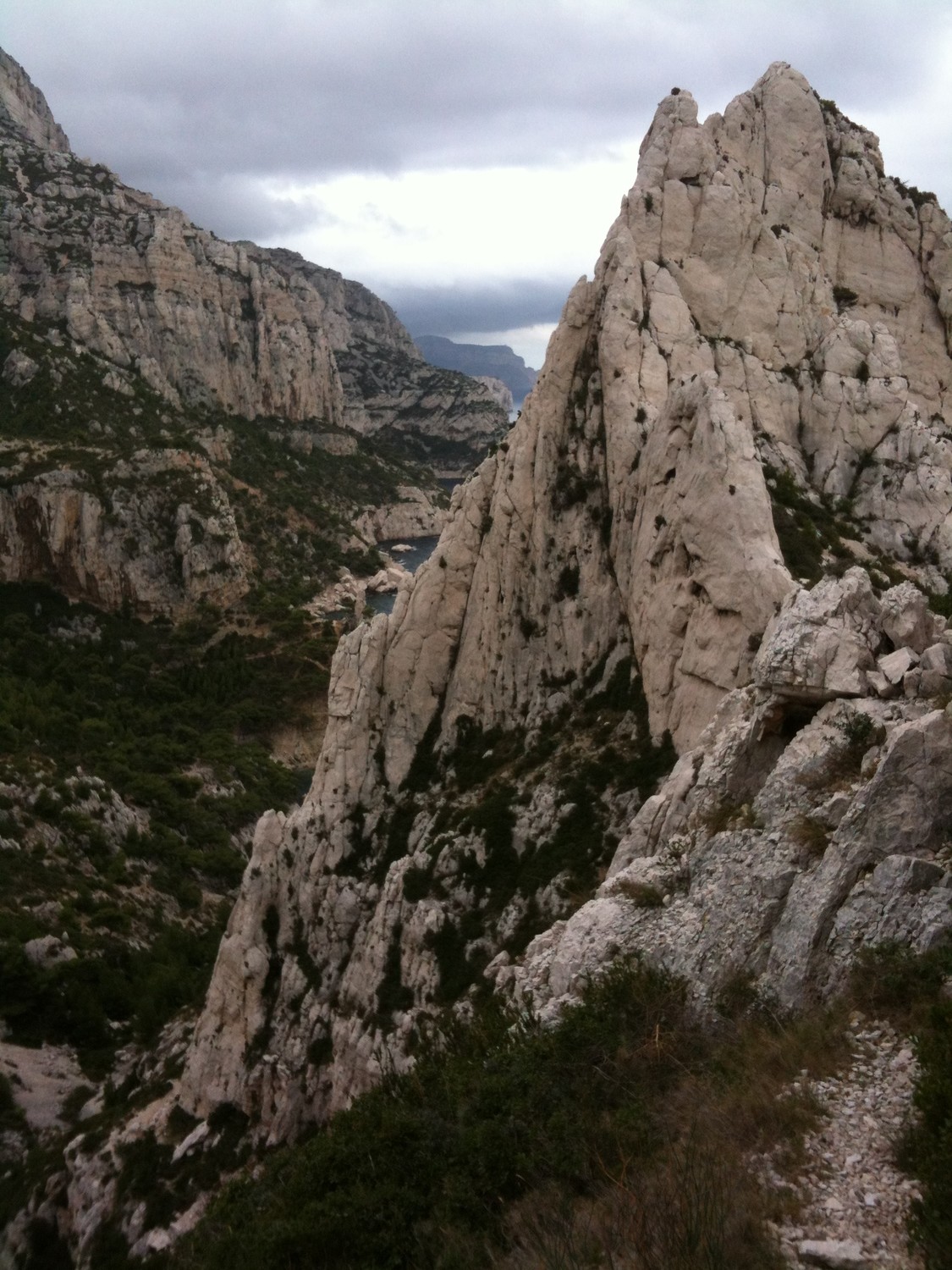 l'aiguille