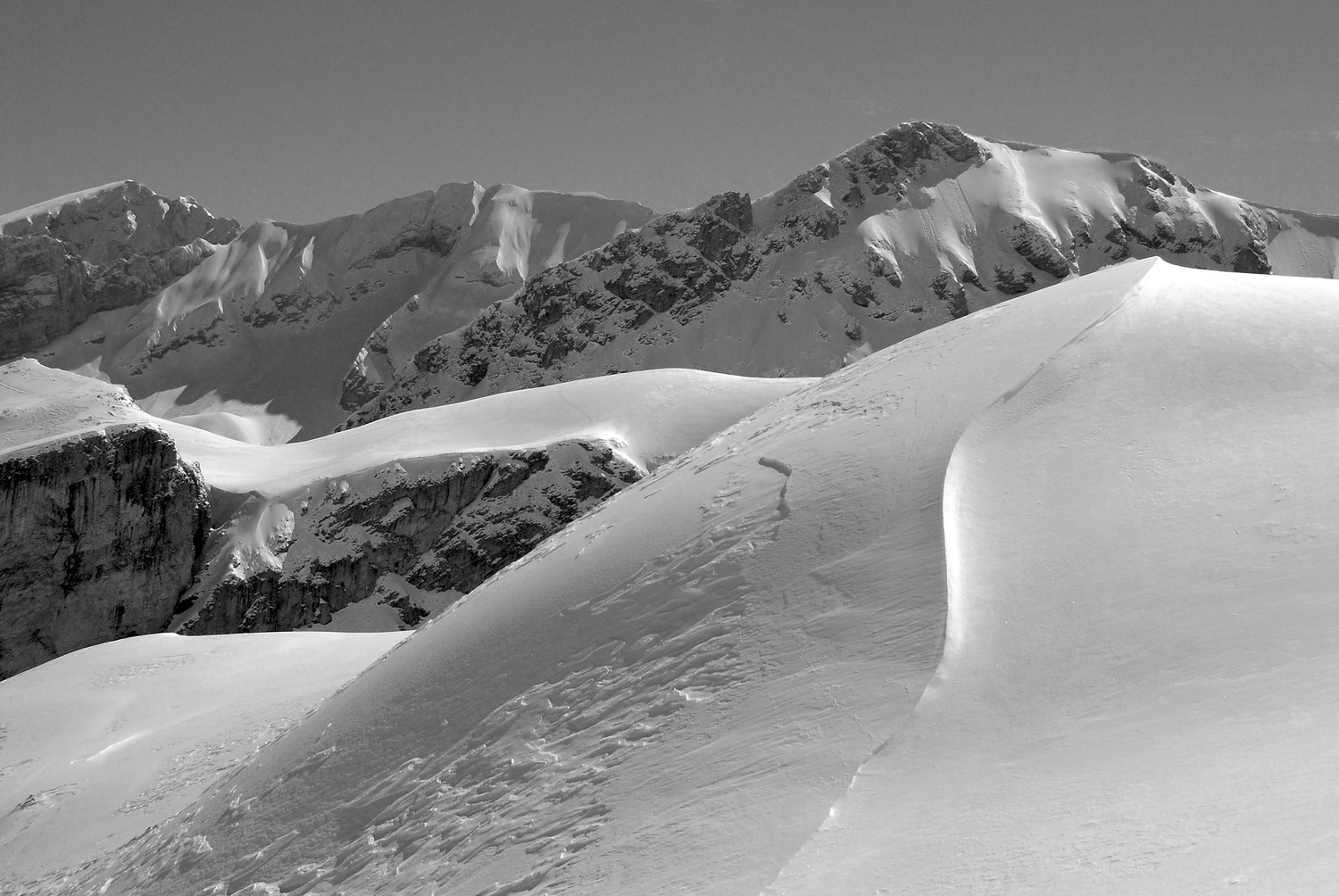 Pied Gros