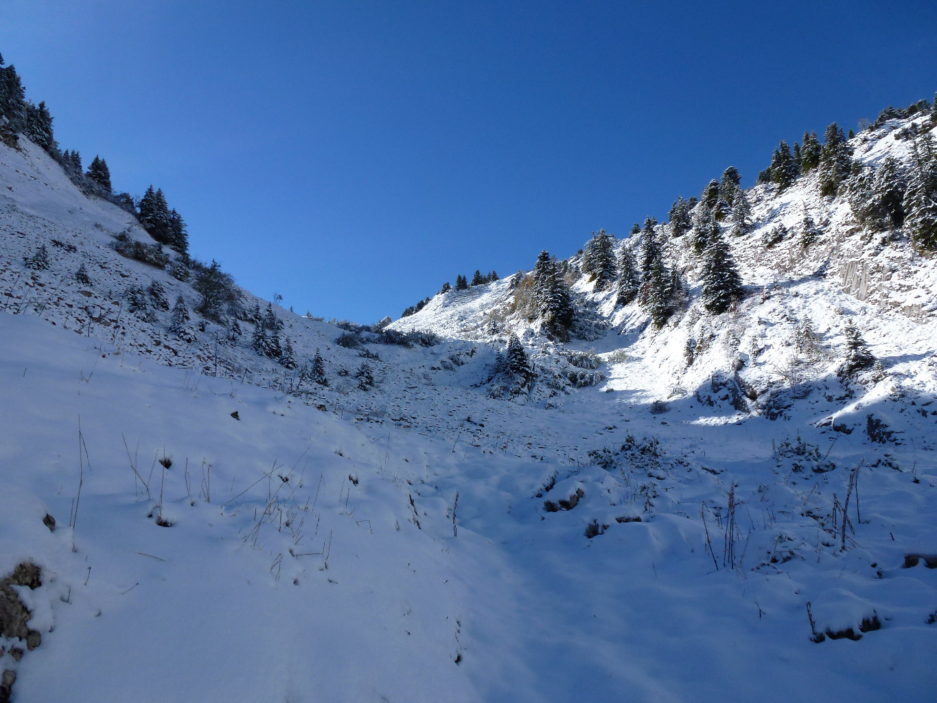 Dans la montée au Crêt des Tervelles