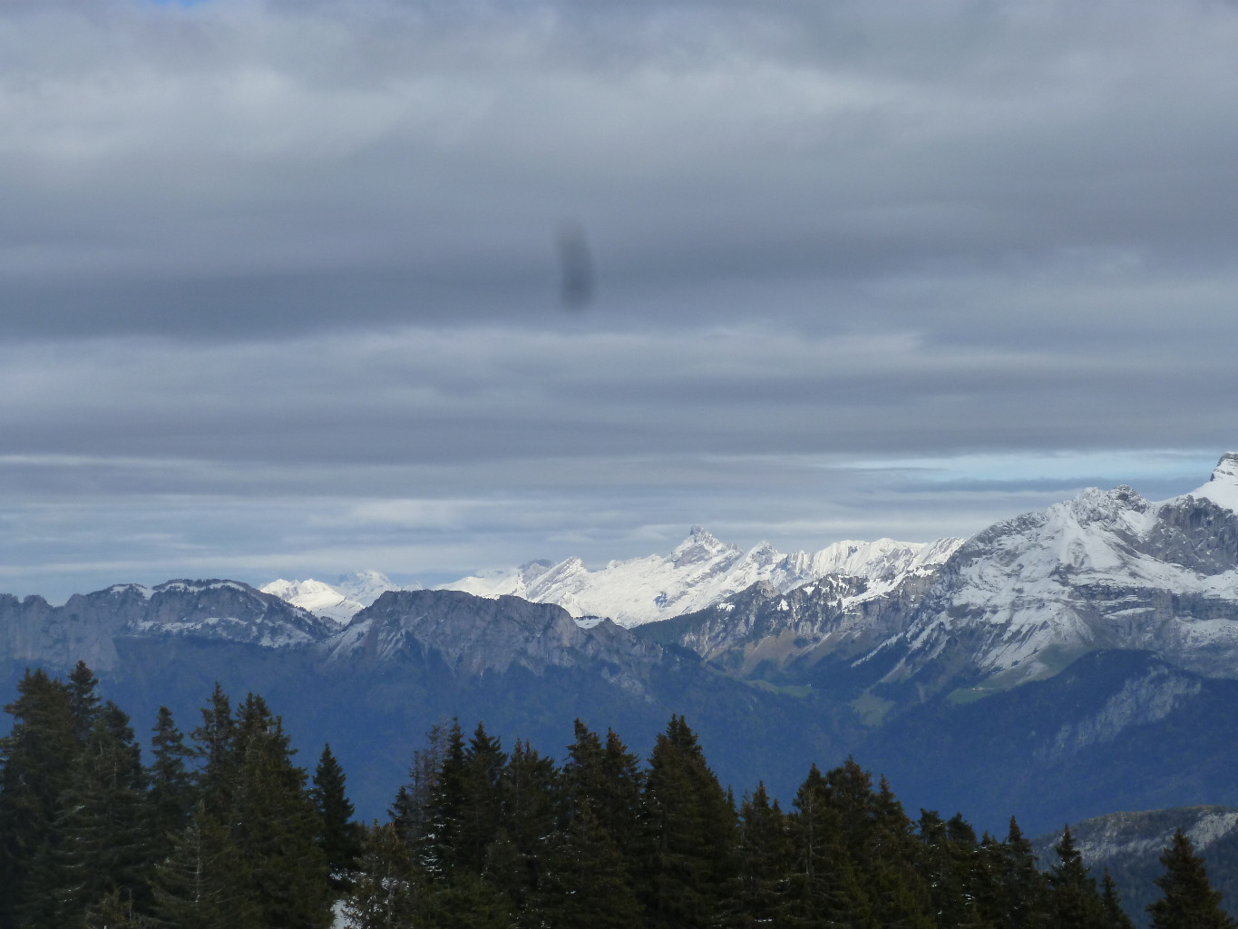 Aravis
