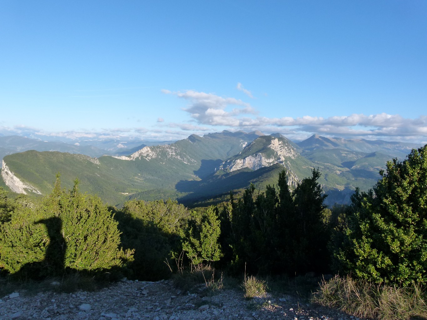 Foret de Saou depuis Roche colombe