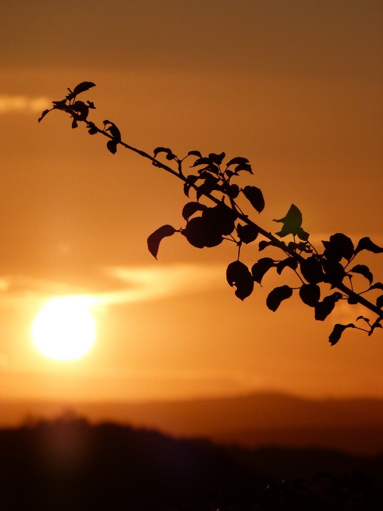 retour - coucher de soleil