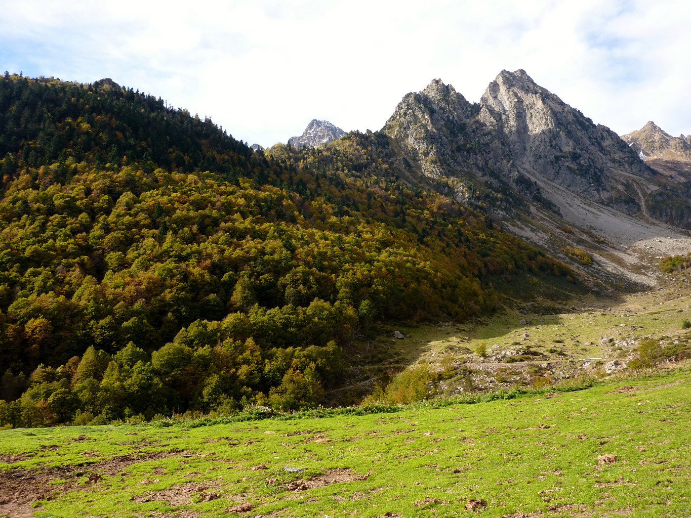 automne 1