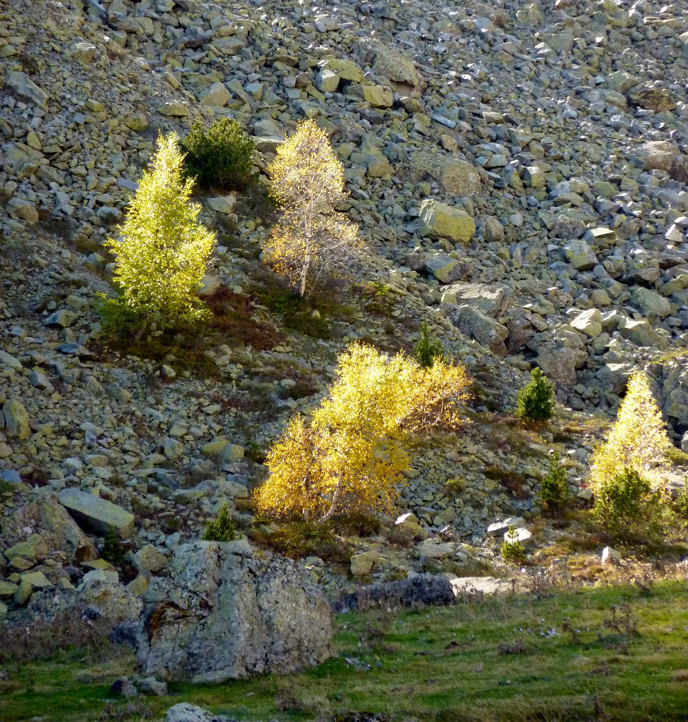 C'est l'automne