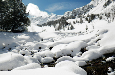 Neige sorteny Neige sorteny
