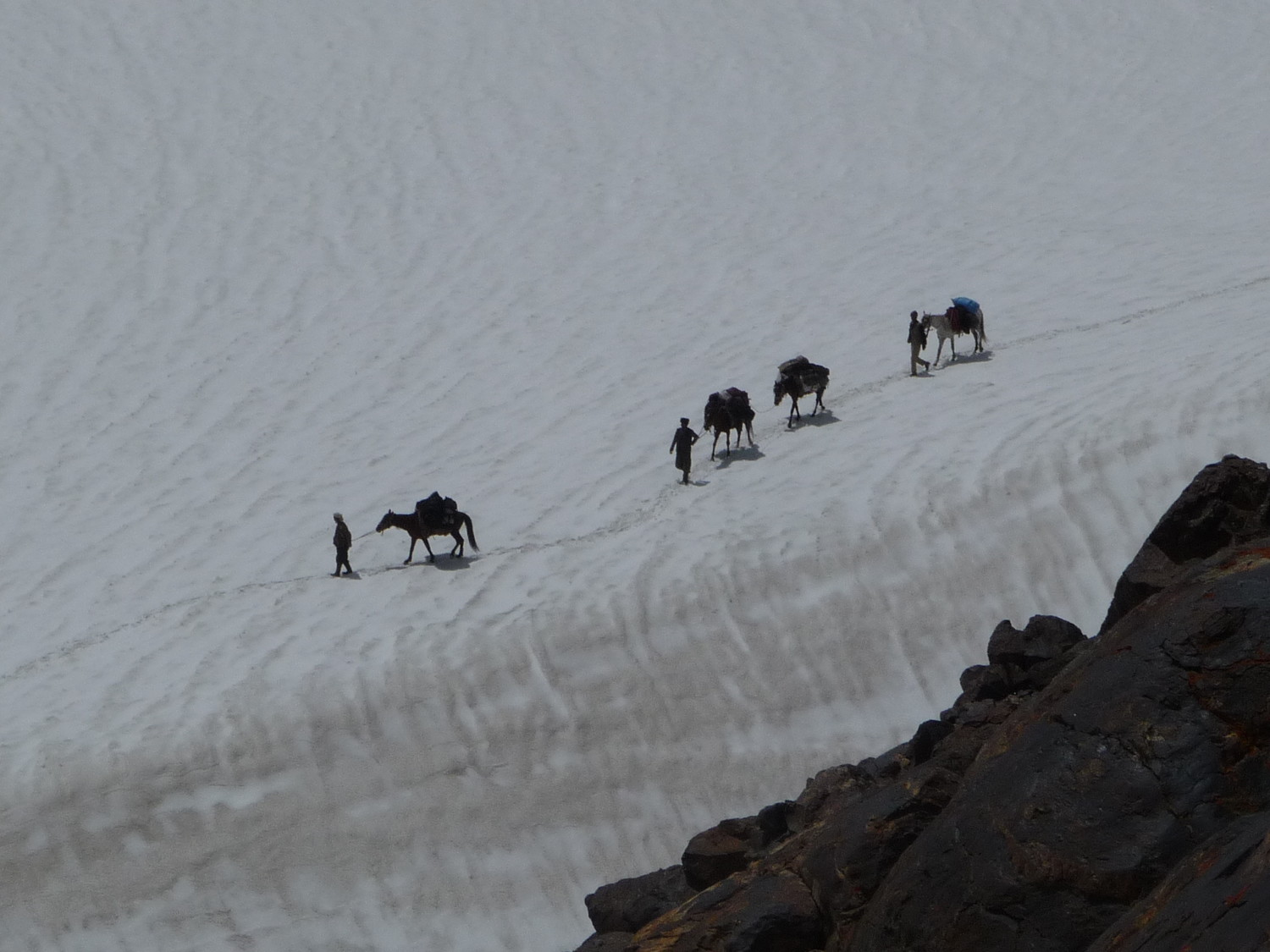 Chevaux afghans - passage d'un col à 4900m