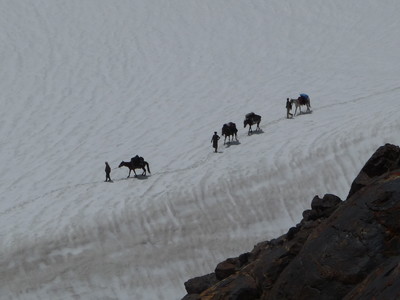 Chevaux afghans - passage d'un col à 4900m Chevaux afghans - passage d'un col à 4900m