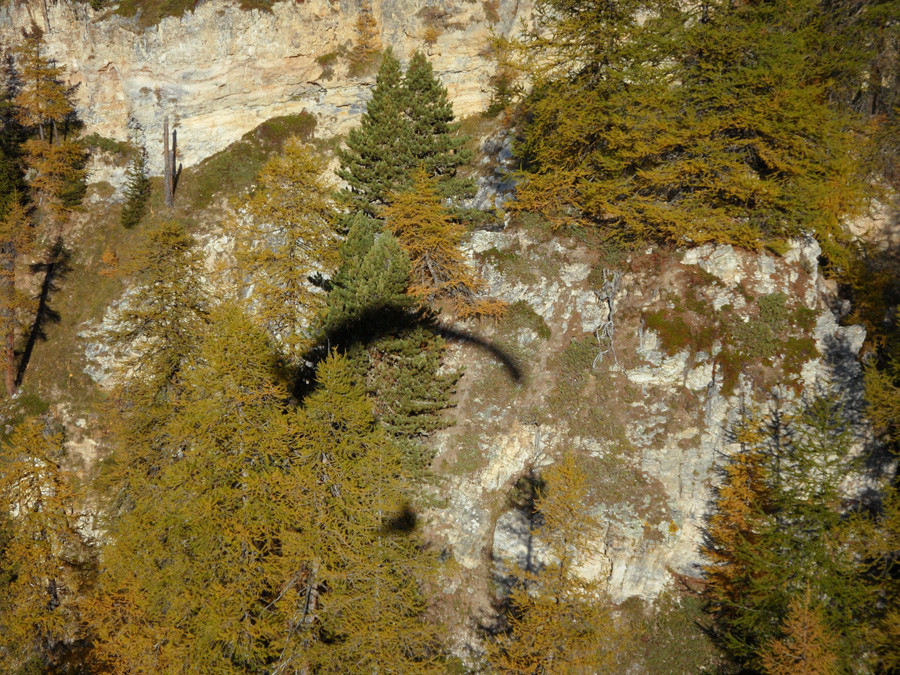 Vol rando d'automne sous l'Aiguille Rousse, Peisey-Nancroix.