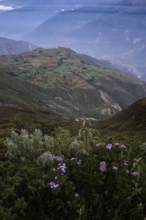 Vue sur le plateau de Hualcayan