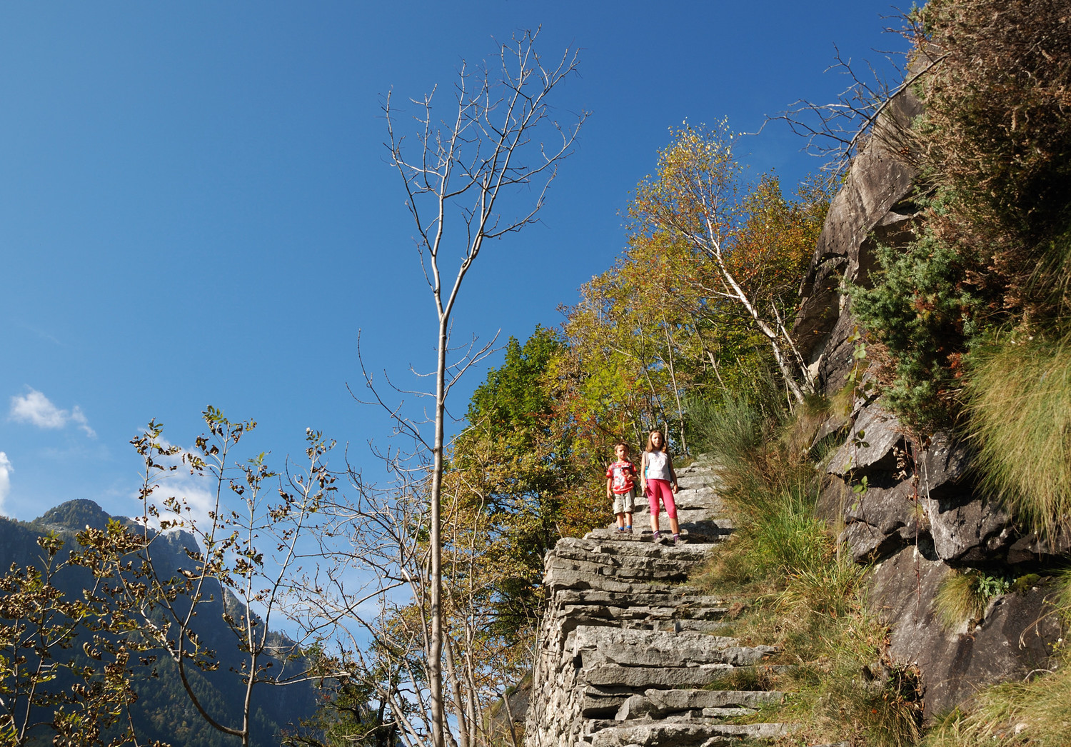 Montée vers l'Alpe Larescia