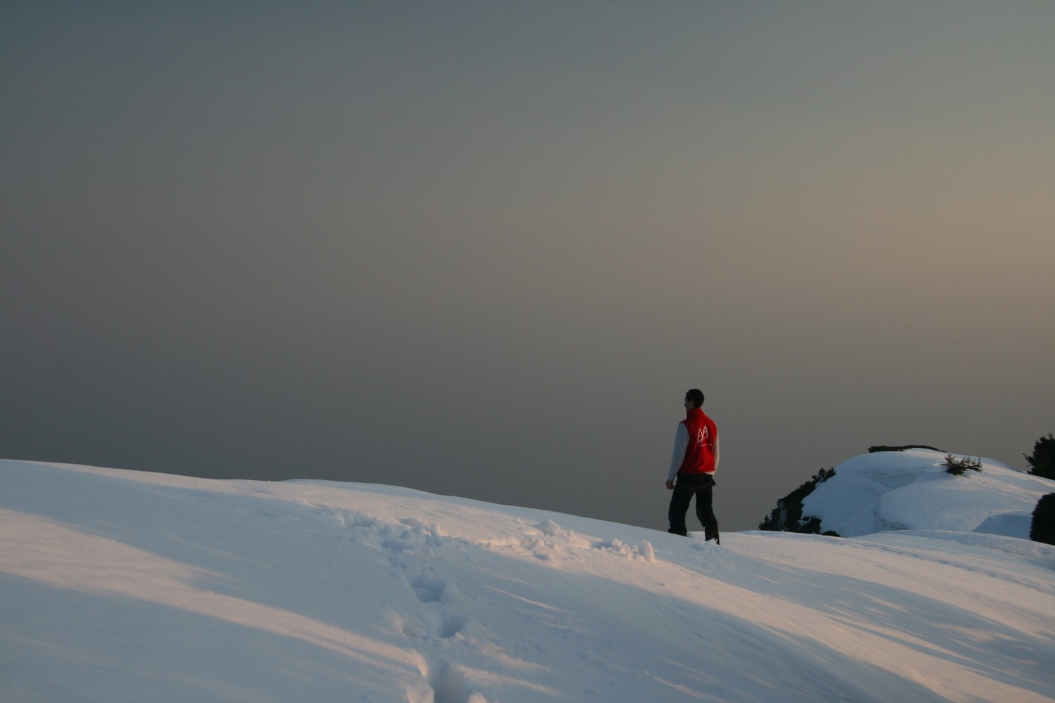 Solitude