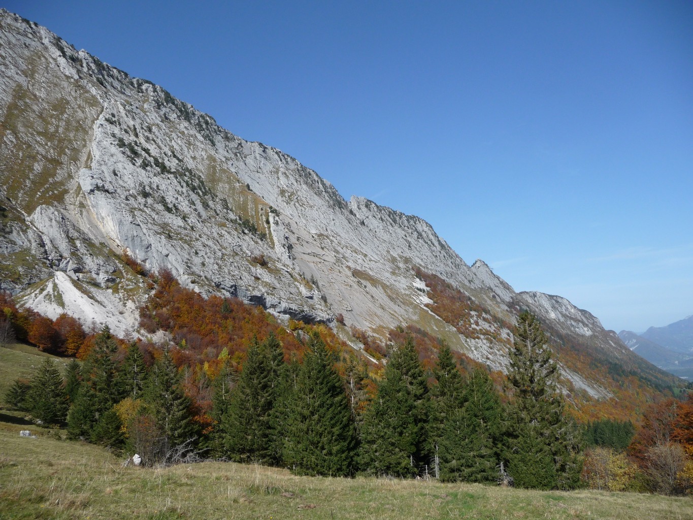 On la repère, même de loin