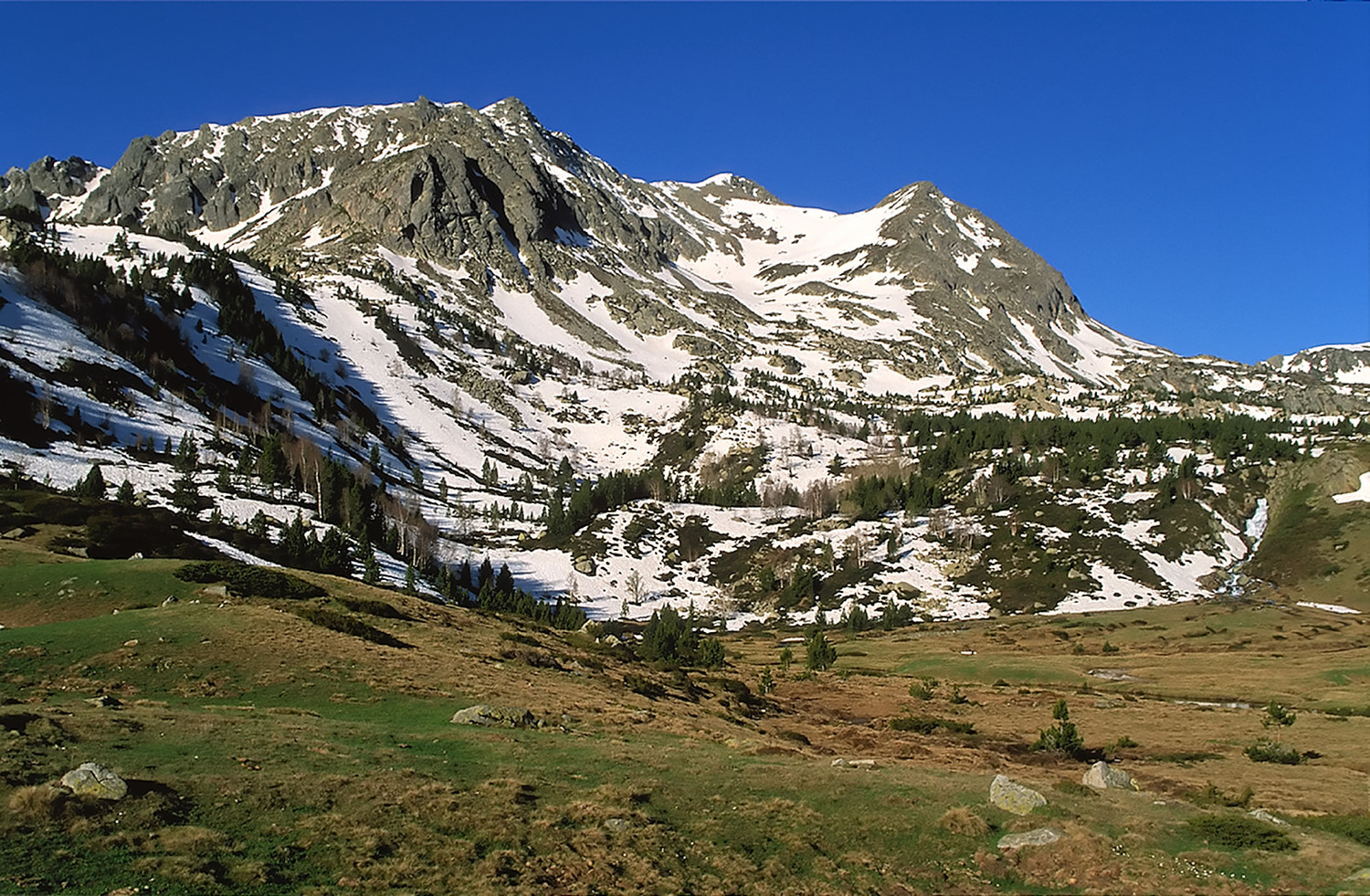 Pic de Camp Colomer