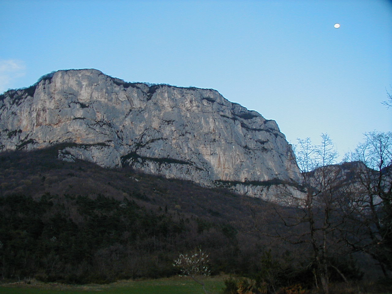Cournouse