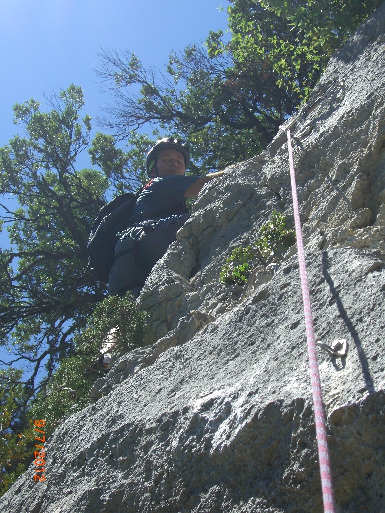 Dans la voie