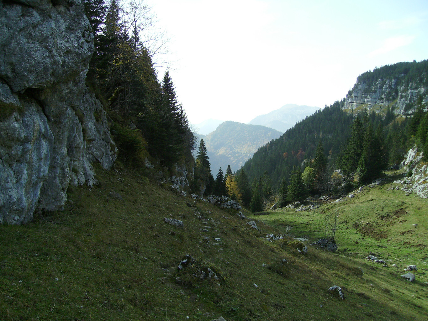Vallon de pratcel