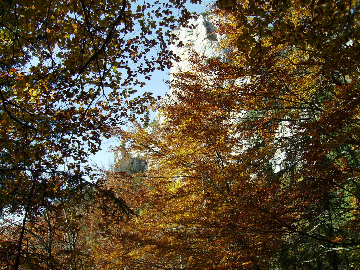 couleurs de descente