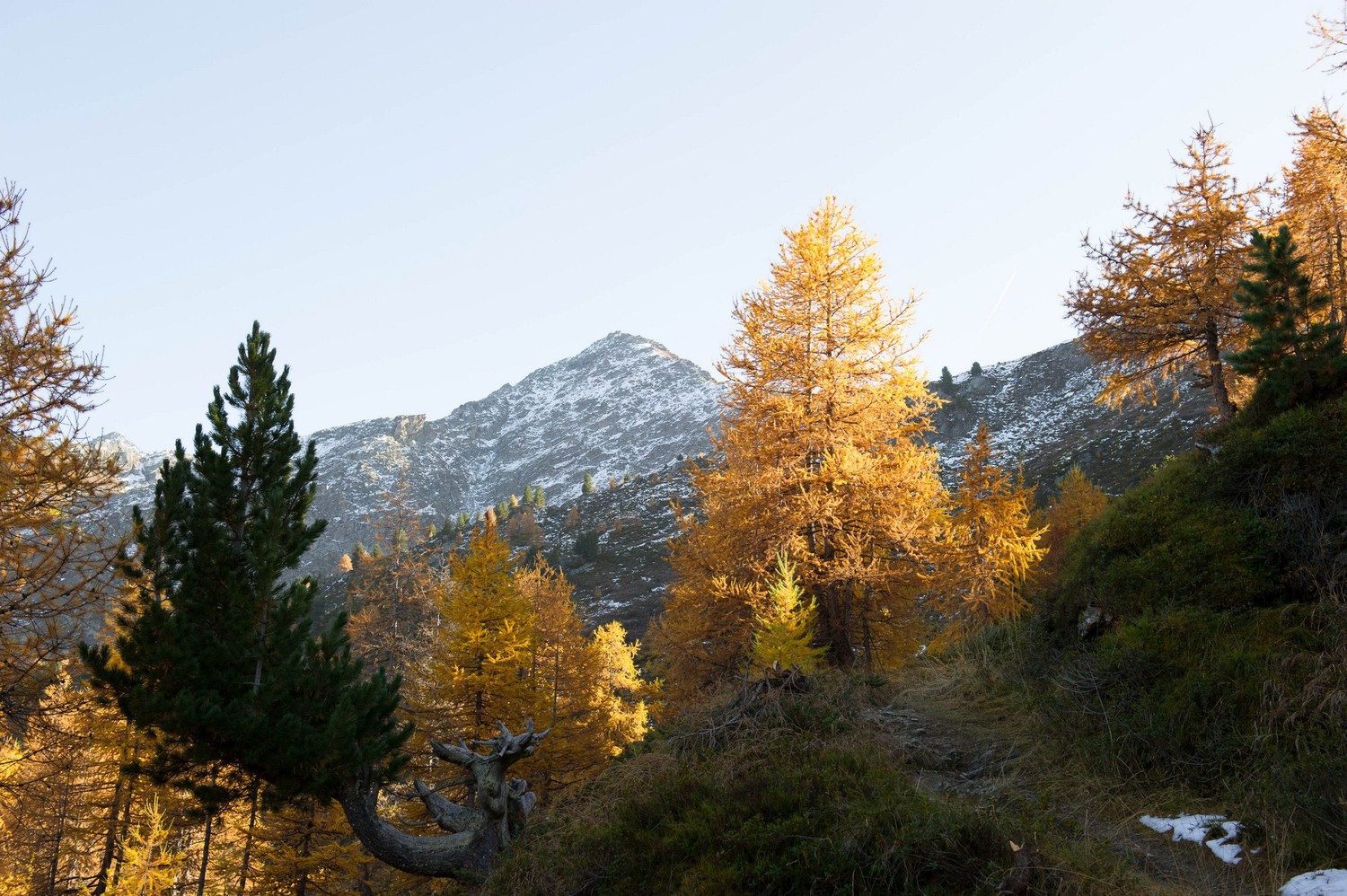 Le Mont Rogneux depuis Chassoure
