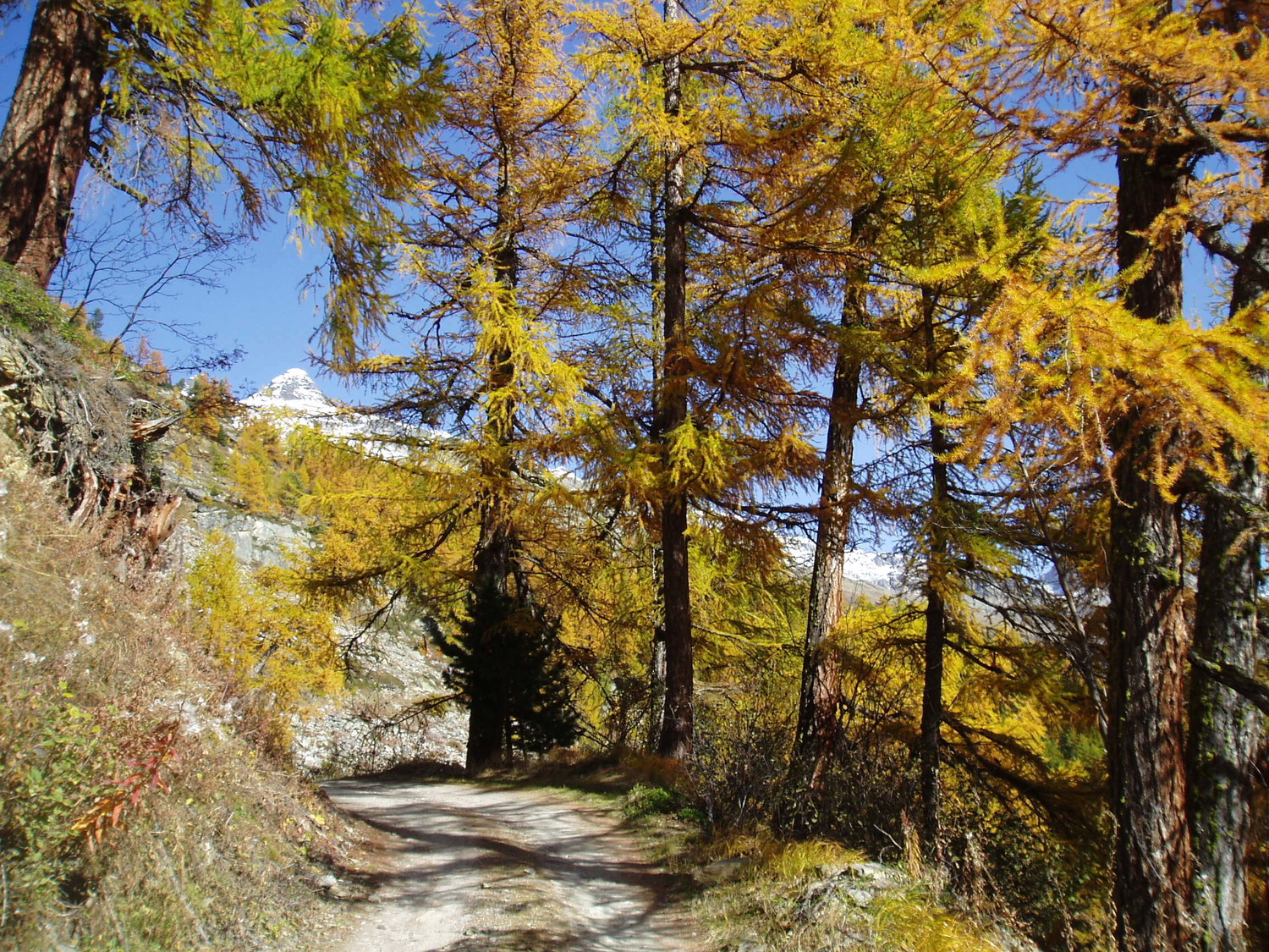 Route de Kummenalp