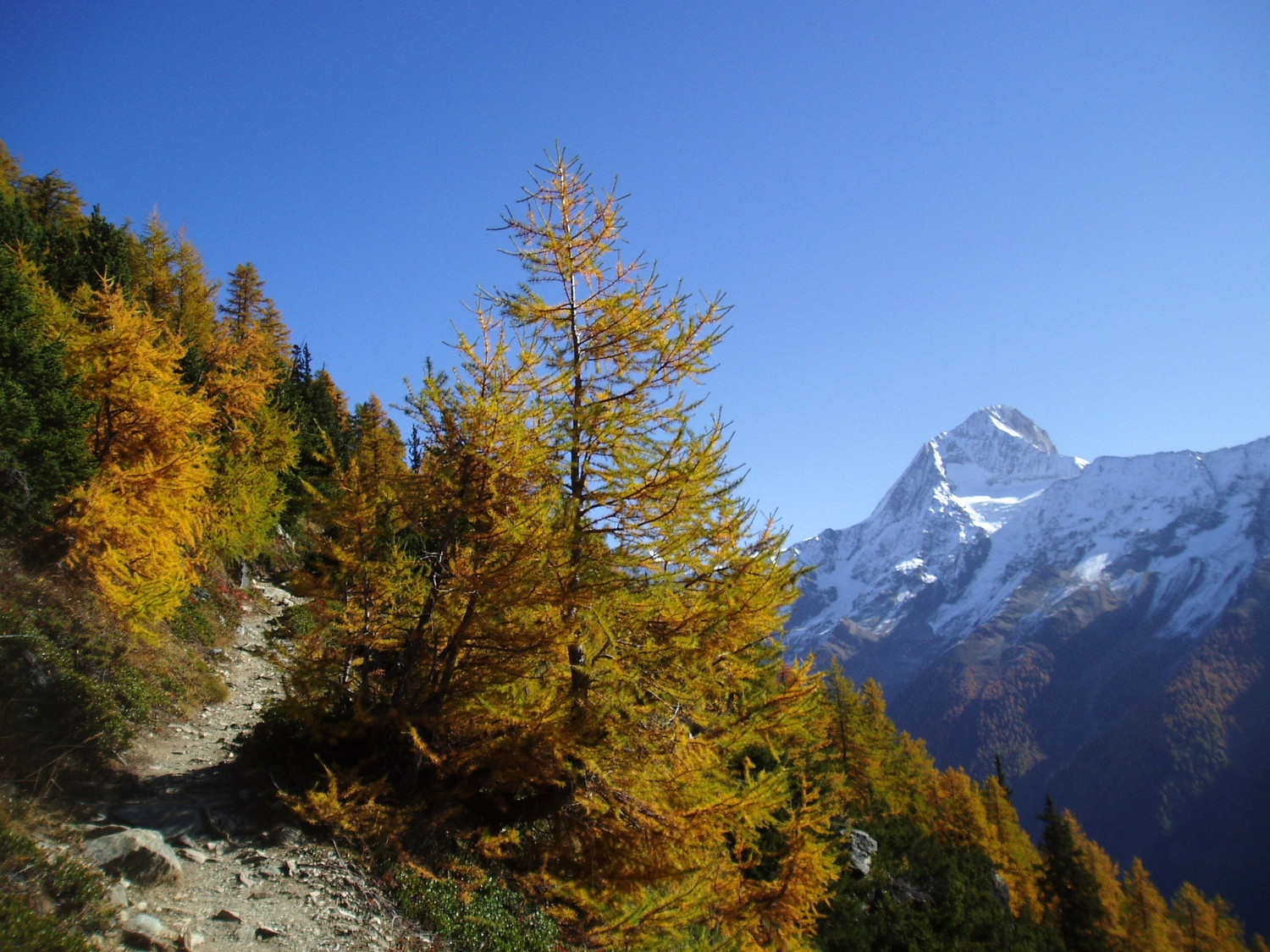 Lötschentaler Höhenweg