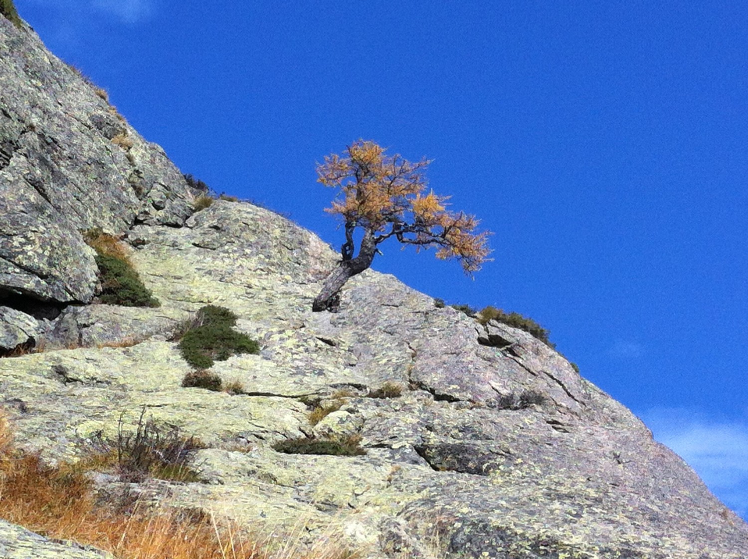 Couleurs d'automne