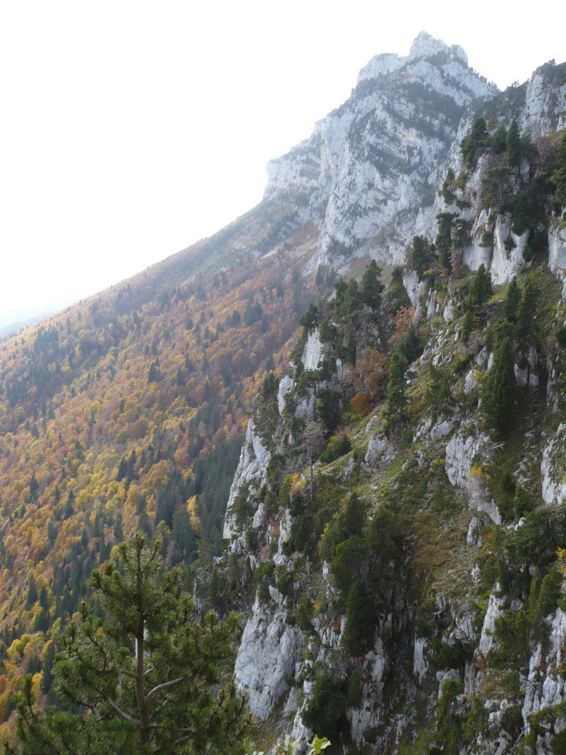 Couleurs d'automne