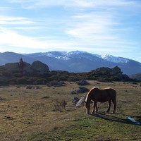 Serres escales