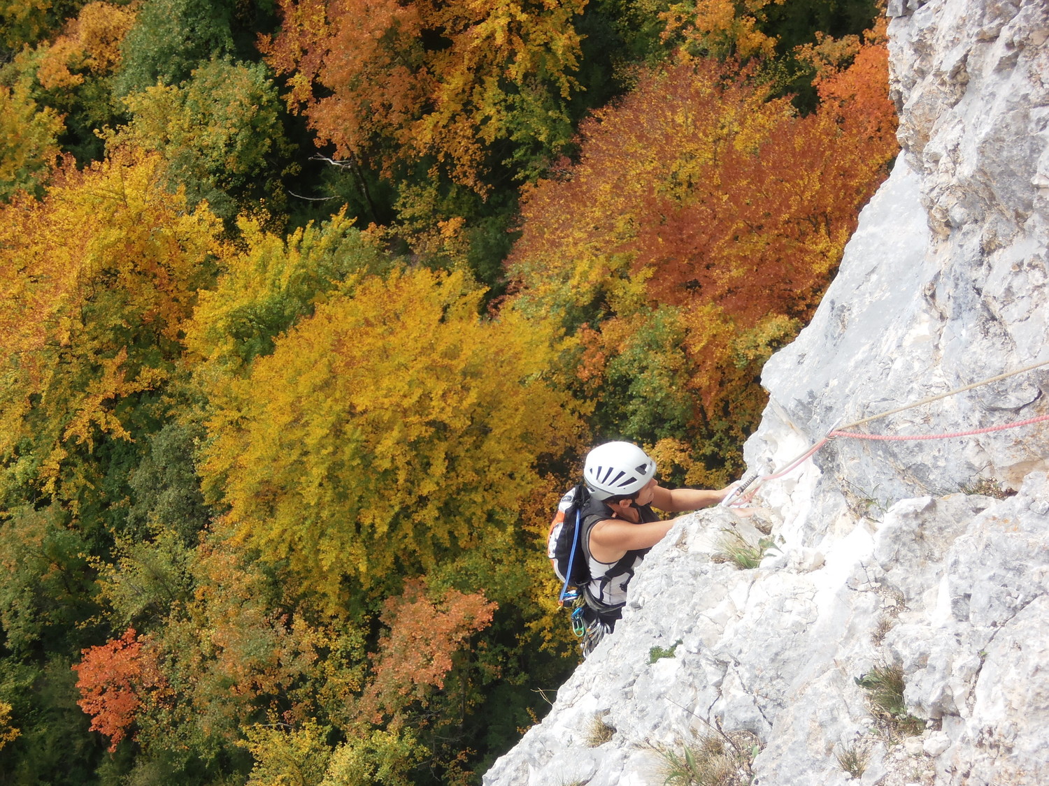 Sortie de L5 (Absolue)