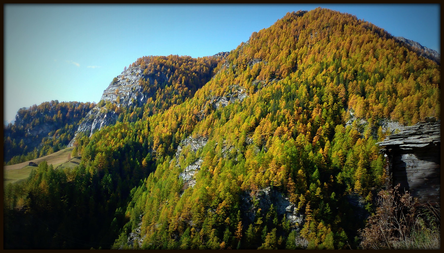 Schalb - Törben : Vitalité d'automne